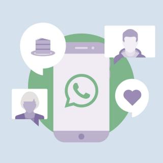 Whatsapp Lifetime bundle by HollyKitten
