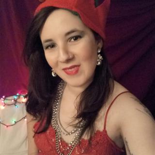 Christmas Bundle bundle by Rosie Brooke