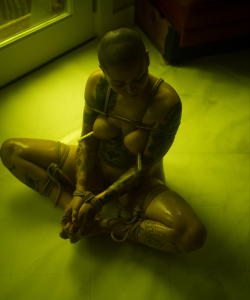 Amateur Porn Model Dex
