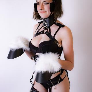 Pony Play Fetish Professional Photo Set photo gallery by Lucy Quinn