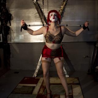 Clown Dungeon photo gallery by Maggie McMuffin