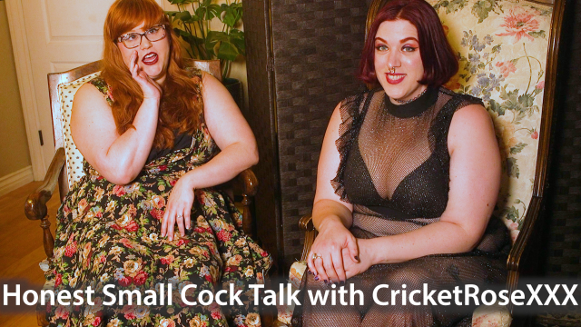 Honest Small Cock Talk 6