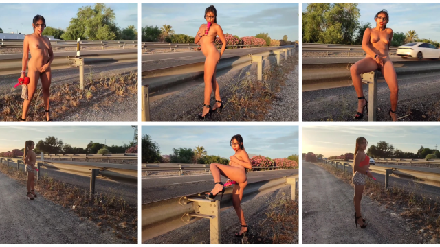 Walking down the road naked, publico