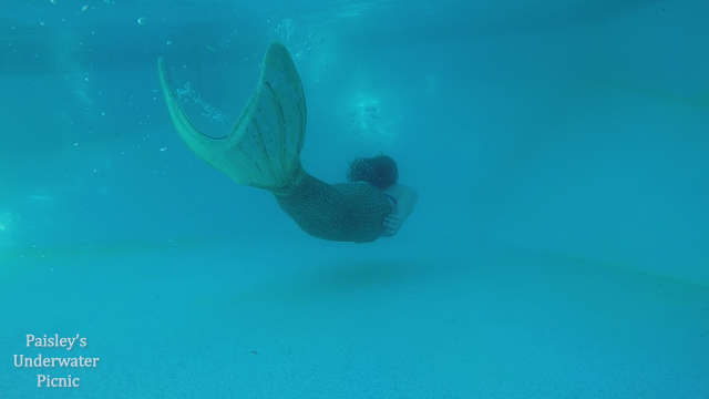 Mermaid Swimming