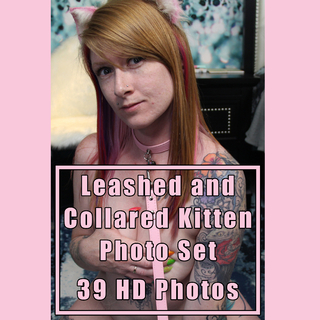 Leashed and Collared Kitten Photo Set 39 HD Photos photo gallery by Ruby Vulpix